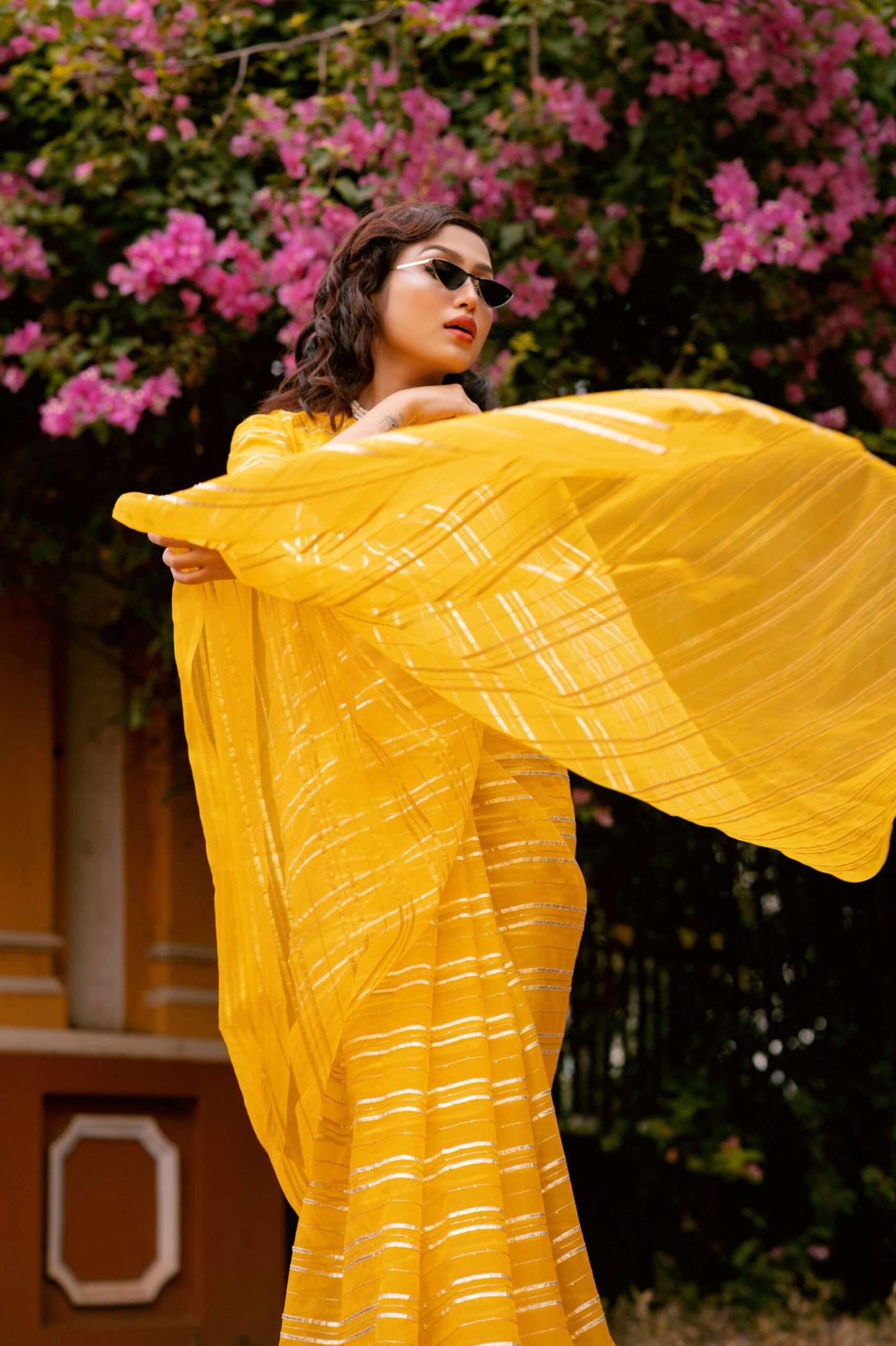 organza saree