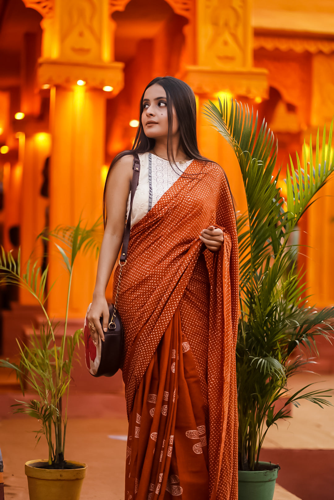 handloom cotton saree image