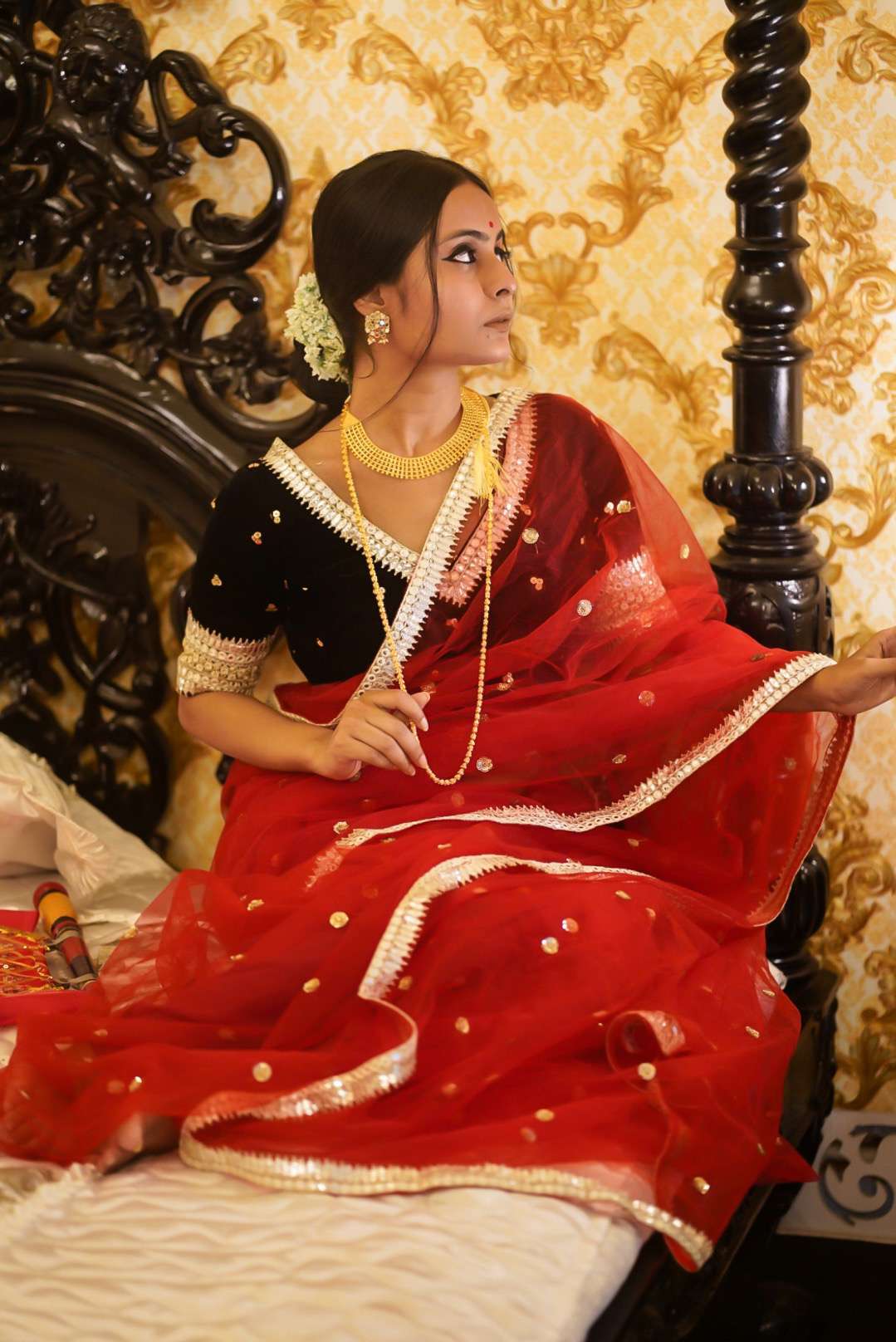 red net saree image